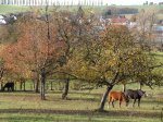 Stupferich – Zufallsbild
