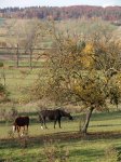 Stupferich – Zufallsbild