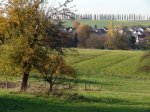 Stupferich – Zufallsbild