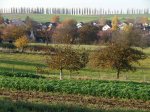 Stupferich – Zufallsbild