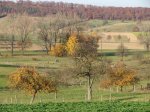 Stupferich – Zufallsbild