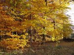 Stupferich – Zufallsbild