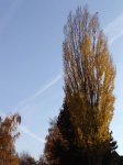 Stupferich – Zufallsbild